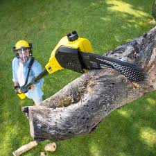 Landscape Design and Installation in Brushy, OK